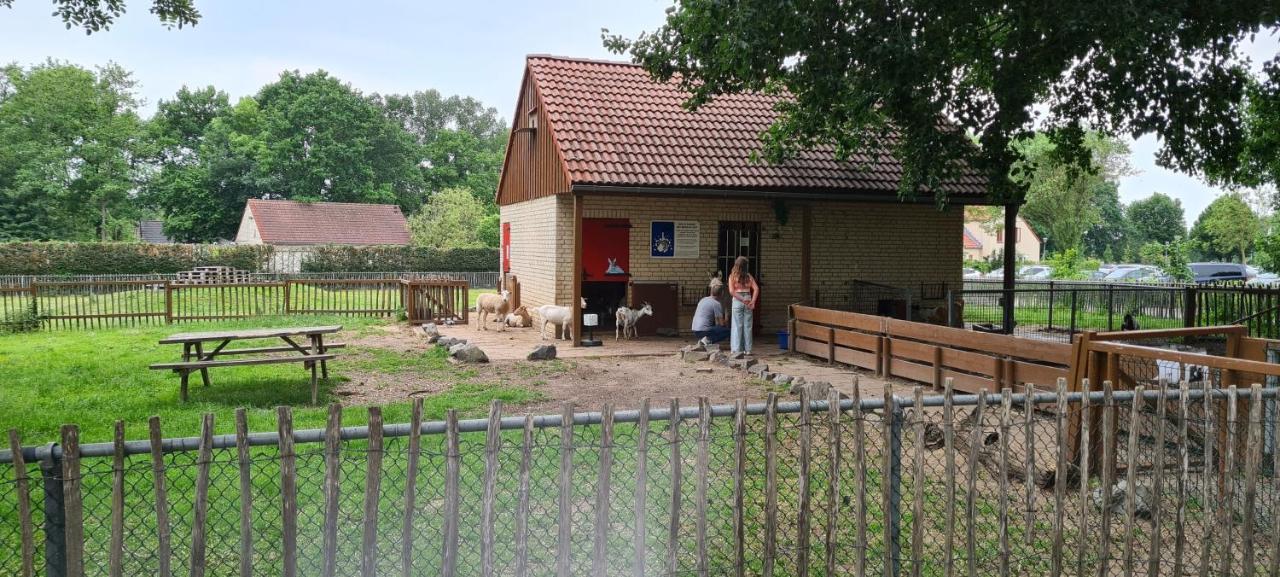 Forestview 'Queenstown' 6 Pers Very Child-Friendly By Kawatea Cottages (Adults Only) Ewijk Zewnętrze zdjęcie