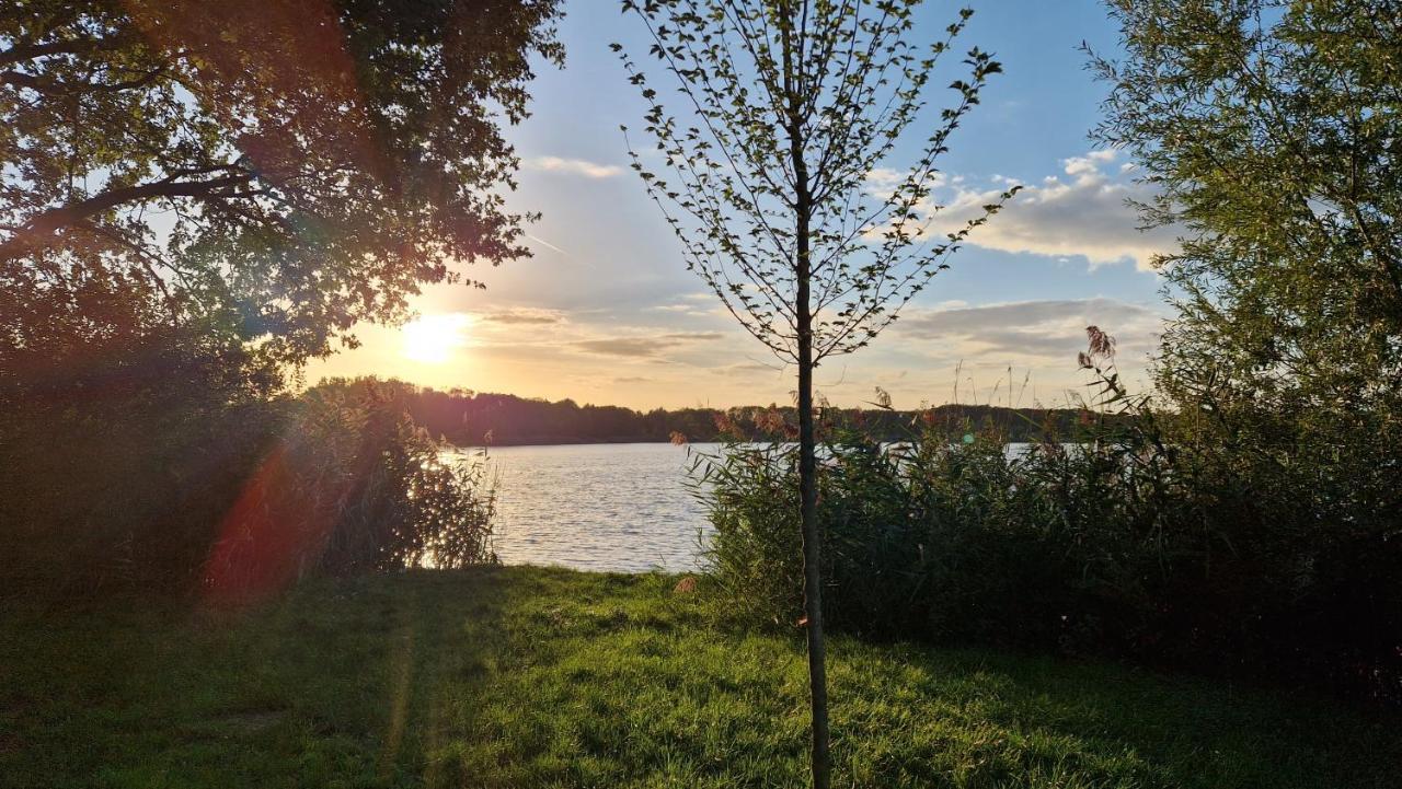 Forestview 'Queenstown' 6 Pers Very Child-Friendly By Kawatea Cottages (Adults Only) Ewijk Zewnętrze zdjęcie