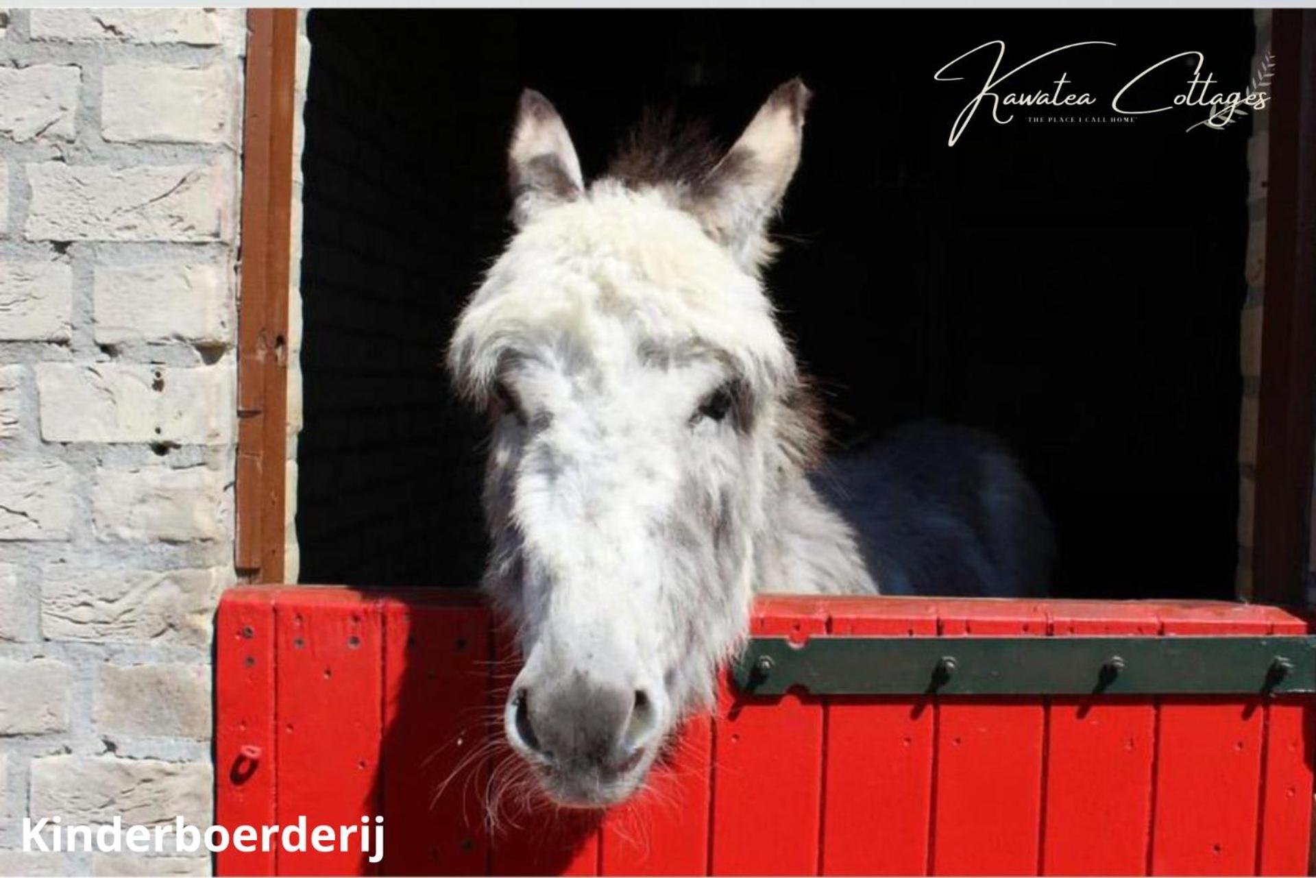 Forestview 'Queenstown' 6 Pers Very Child-Friendly By Kawatea Cottages (Adults Only) Ewijk Zewnętrze zdjęcie
